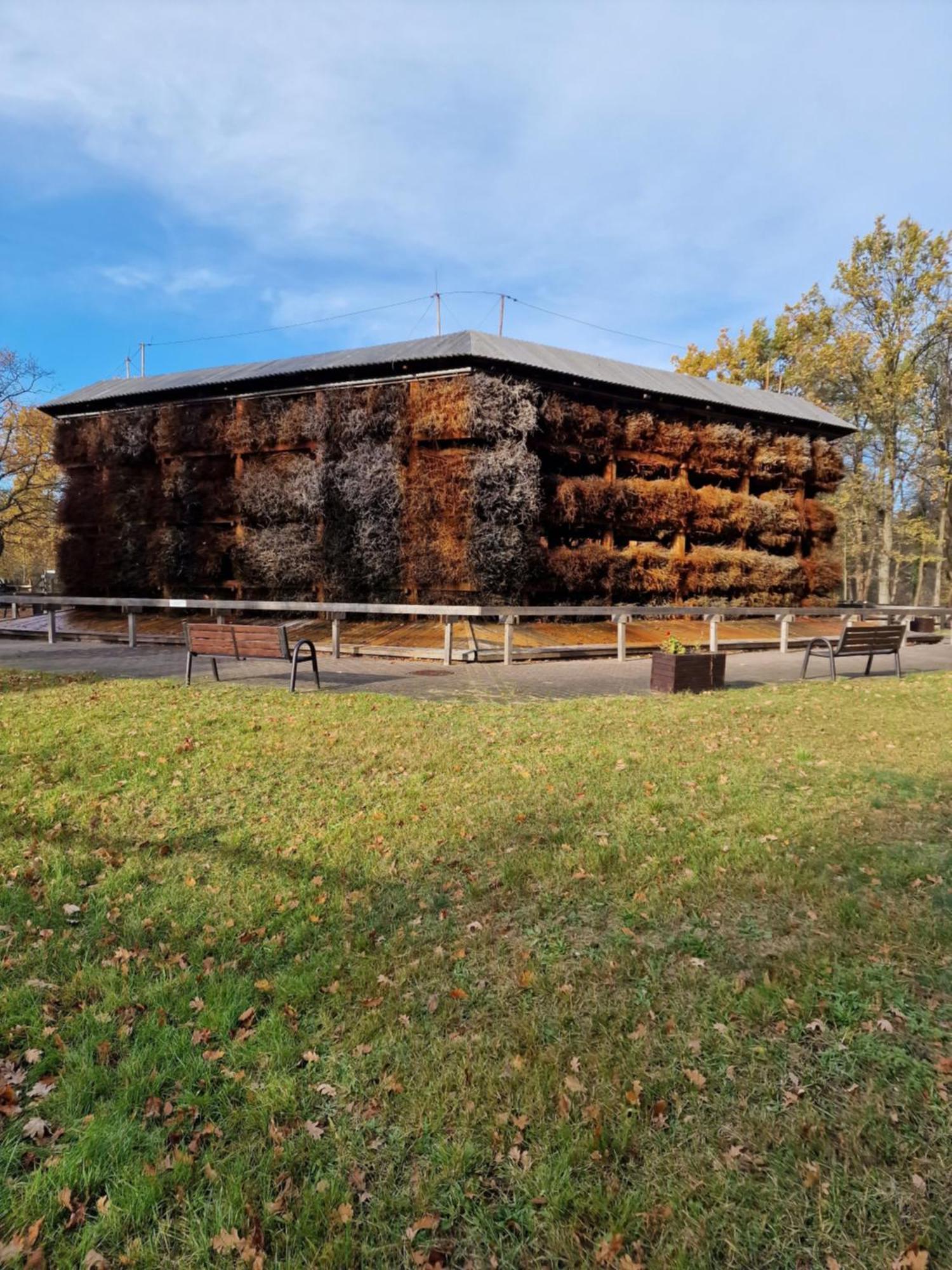 Ivy Healthy Stay Констанцін-Єзьорна Екстер'єр фото